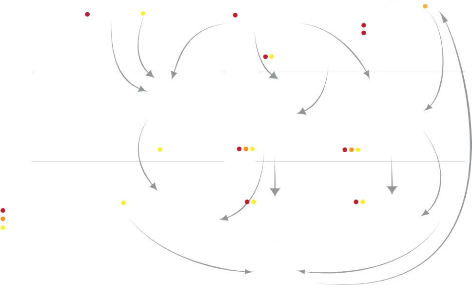 CitiBike platform ecosystem